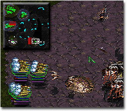 WTF is going on with me... 2 Scourge > Breeze's pack of Corsairs =[