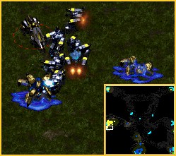 And for the third time, SCV's kill dragoon