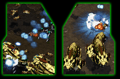 more ded carriers