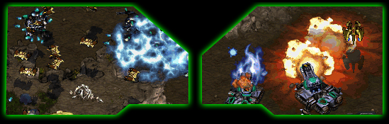 more alive carriers