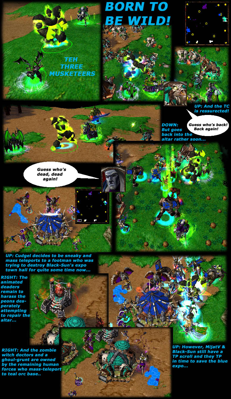 I thought abou making this whole BR as "The Adventures of Three Musketeers" but then I dropped the idea, seemed to much of a work and required a battle that I could hardly manage to play.