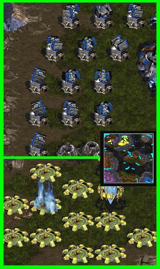 Turtling is good.