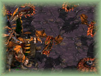 Actually; the curious hive structure is below and to the right, but I focus on it later on instead