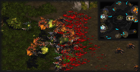 Such a shame that hydralisks can't attack air and ground targets simultaneously