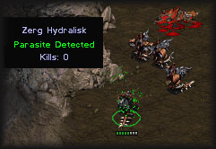 Kill our infested brethren less we all fall victim to the hideous disease that doesn't actually hurt us at all