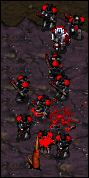 The hard life of a Terran marine.