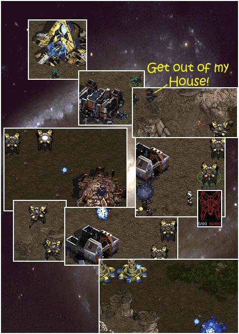 Marine-'Get out of my house!' Dragoon-'stfu!'