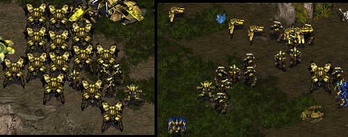 RUN ZERGLIN RUN