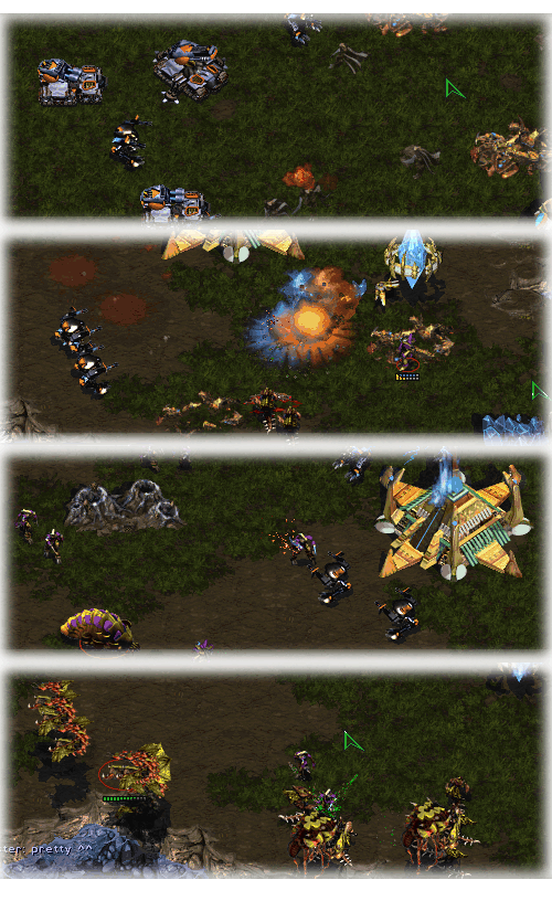 lesson learned: Muta > reaver