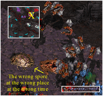 Poor little morphing spore