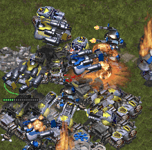 Yes, its the terran thing to do