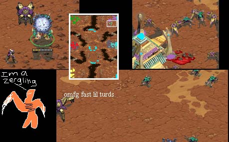 Wow that zergling picture is a masterpiece
