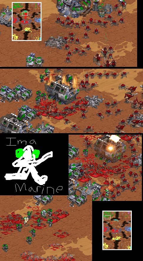 Mistarknight is flushed out of upper mid