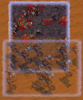 Reinforcements have arrived.