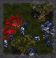 Zerglings falling out of trees all over the place.