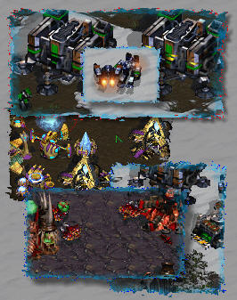 Opening builds and two scouting scvs passing each other.. and yes this picture is absolutely crucial to the report.