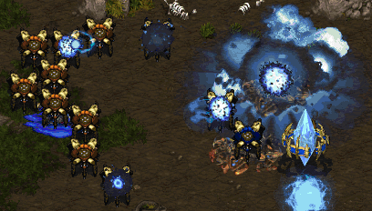 Orc is the bestest player in whole wide world.