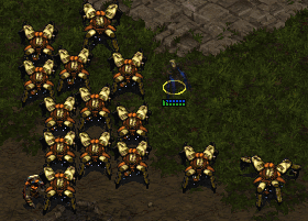Slicing up dragoon hulls certainly won't bring the Dark Templar closer to being accepted by the rest of the Protoss.