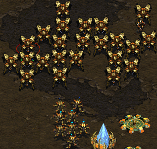 See! Orc is God!