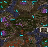 mini map